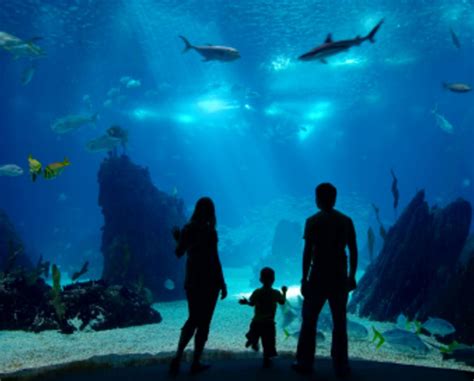 baltimore aquarium discount tickets